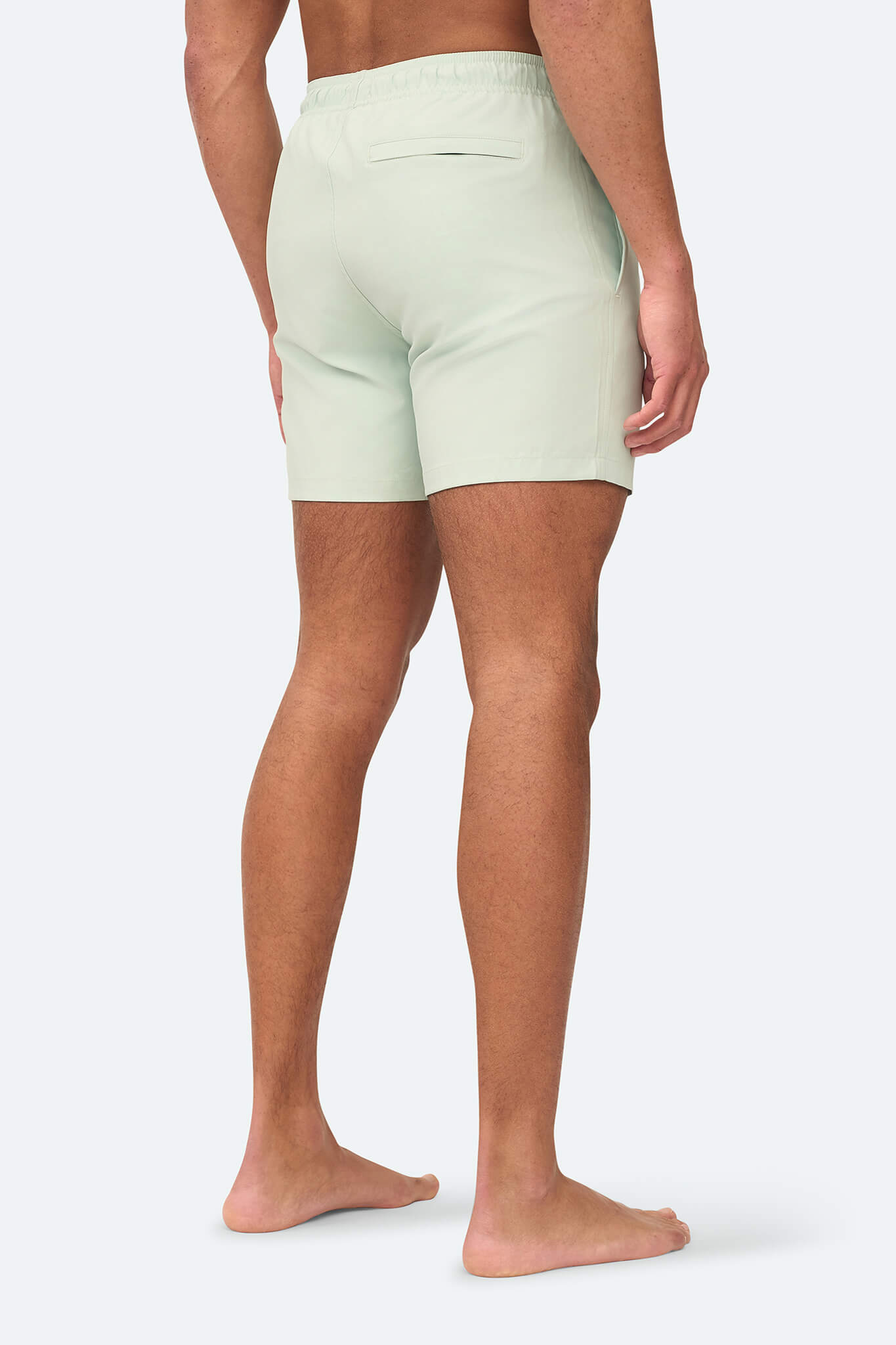 Signature Swimshort Fresh Green